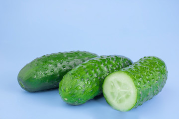 Cucumbers isolated on a blue background. Organic vegetables. Ecological products