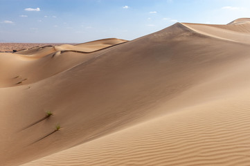 Fototapeta na wymiar Sand dunes close to Dubai, United Arab Emirates