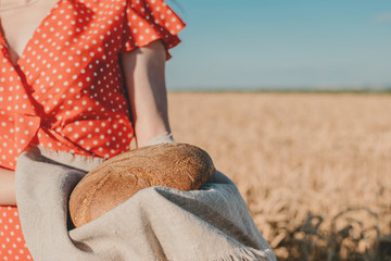 Grain Exports, wheat harvest and export limits, global food security. Wheat seeding. Farmers during...