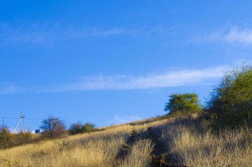 Obraz premium hill with grass in spring