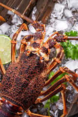 Raw fresh Cape rock lobster, West Coast rock lobster, Jasus lalandii on a dark slate background with cold ice cubes, top view, flat lay, overhead shot.