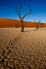 sossusvlei namibia, desert landscape
