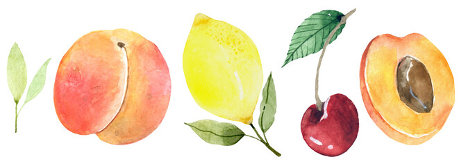 Hand drawn watercolor painting on white background.