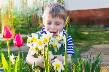 Boy child European embraces flowers in the country. Beautiful daffodils and red tulips in the garden. An armful of flowers in the hands of a baby.