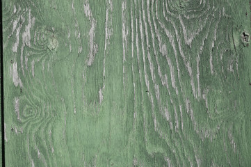 green varnished wood as background in old