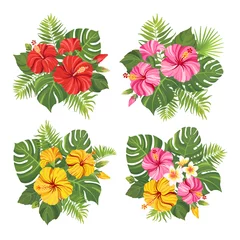 Tuinposter Tropical flowers bouquet set. Floral composition with hibiscus, plumeria, palm leaves and monstera. Vector illustration. © artnata