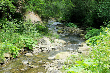 Mountain river between green vegetation.