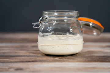 Sourdough starter
