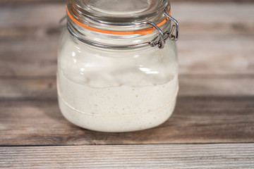 Sourdough starter