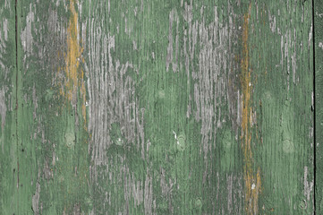 green varnished wood as background in old