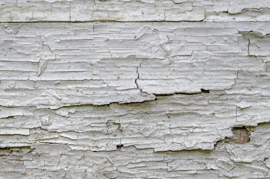 Old Wooden White Plank with color Paint. Flacking