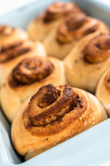 Cinnamon rolls