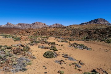 Teide National Park Tenerife island Canaris