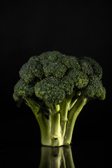 Broccoli isolated on black background. Fresh vegetable