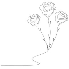 Flowers roses background, vector illustration