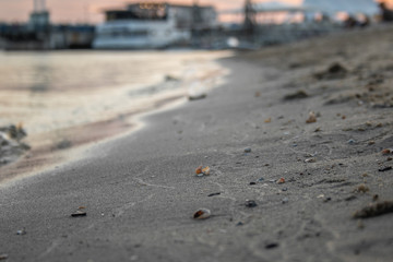 A city beach near the river at the sunset time.