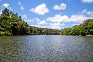 Tranquil Barron River near Kuranda in Tropical North Queensland, Australia