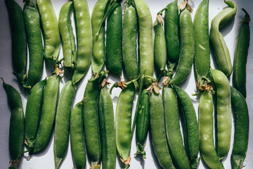 many pea pods laid out on a table on which the sun shines