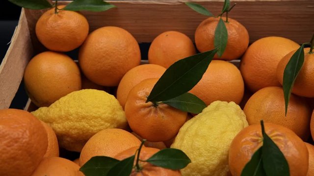 Assortment of agrumi fruits, oranges, clementines with green leaves and lemons in the wooden box