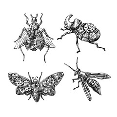 Mechanical insect. Hand drawn beautiful vector illustration. - 349237746