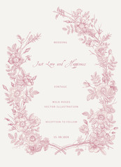 Wreath with wild roses. Wedding invitation. Vector vintage floral illustration. Pink