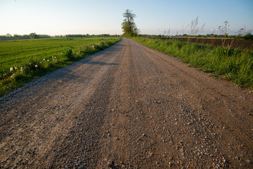 Droga między polami  © kudlacz1984