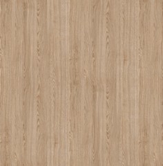 image background with natural wood texture - 349239396