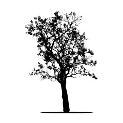 black tree silhouette isolated on white background. Clipping path. for apps and websites.