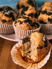 Baked muffins with chocolate chips.