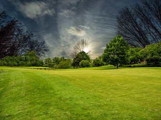 Obraz premium EMPTY GOLF COURSE 