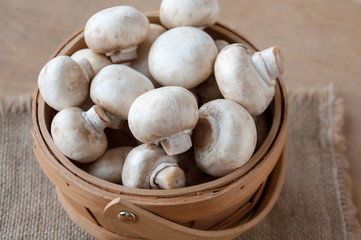 There are a lot of mushrooms in the basket