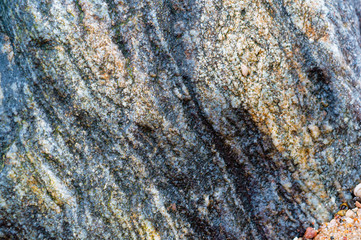 Sea stone texture. Panel texture. Background fill. Natural stone background.