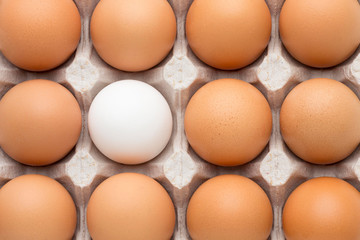 Top view carton with eggs. Outstanding, choice and difference concept. Being unique and individuality.