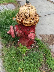 old fire hydrant