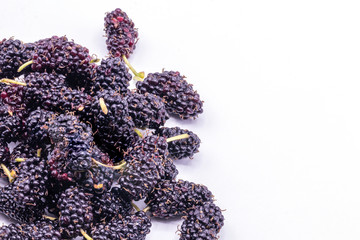 Close up fresh mulberry isolate on white background.Organic black mulberry fruit.