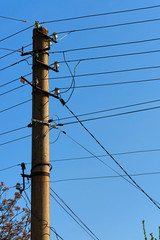 Close-up view of top part of old concrete pole with many electrical wires close-up against a clear...