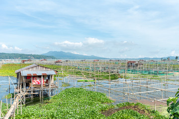 Obraz premium North Sulawesi, Tondano lake and minahasa region