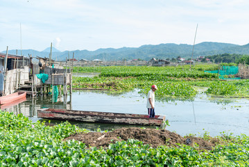 Obraz premium North Sulawesi, Tondano lake and minahasa region