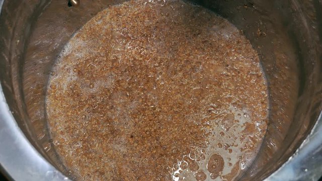 malt wort is brewed when playing home-brewed beer