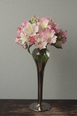 アルストロメリア