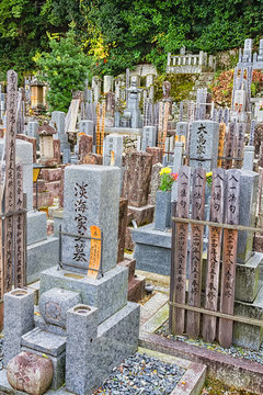รูปภาพOtani – เลือกดูภาพถ่ายสต็อก เวกเตอร์ และวิดีโอ134 | Adobe Stock