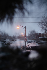 lamppost in winter