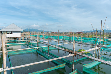 North Sulawesi, Tondano lake and minahasa region