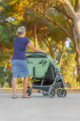 Young mom with baby carriage. Woman with a baby carriage for two children walks in the park on a summer morning. Walking. Back view.