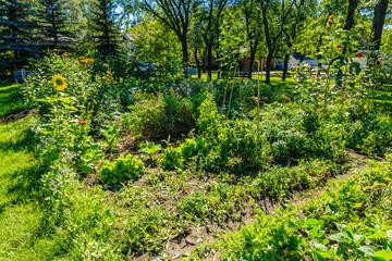 Ashworth Holmes Park