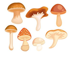 Cartoon mushroom set. Isolated fungi vector illustration collection. Forest fresh food clipart