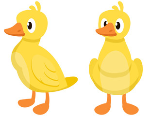 Gosling in different poses. Farm animal in cartoon style.