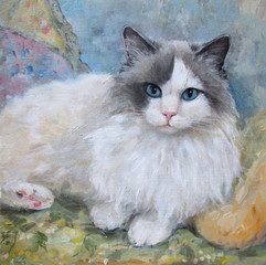 Portrait of a ragdoll cat, oil painting