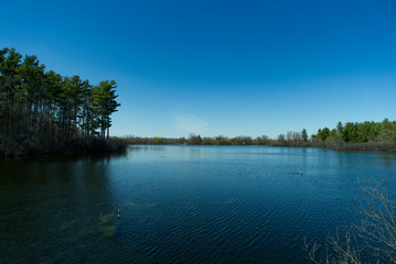 Obraz na płótnie Canvas A lake on a spring day