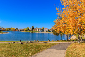 Obraz premium Briarwood Lake Park